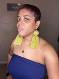 Tassel Fringe Earrings
