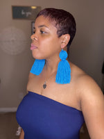 Tassel Fringe Earrings