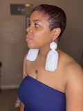 Tassel Fringe Earrings